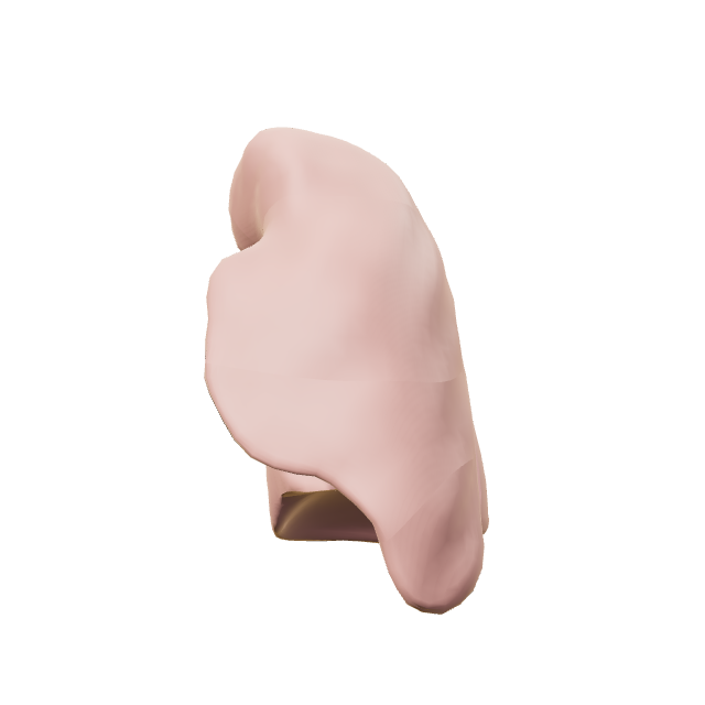 Left lung anatomy preview